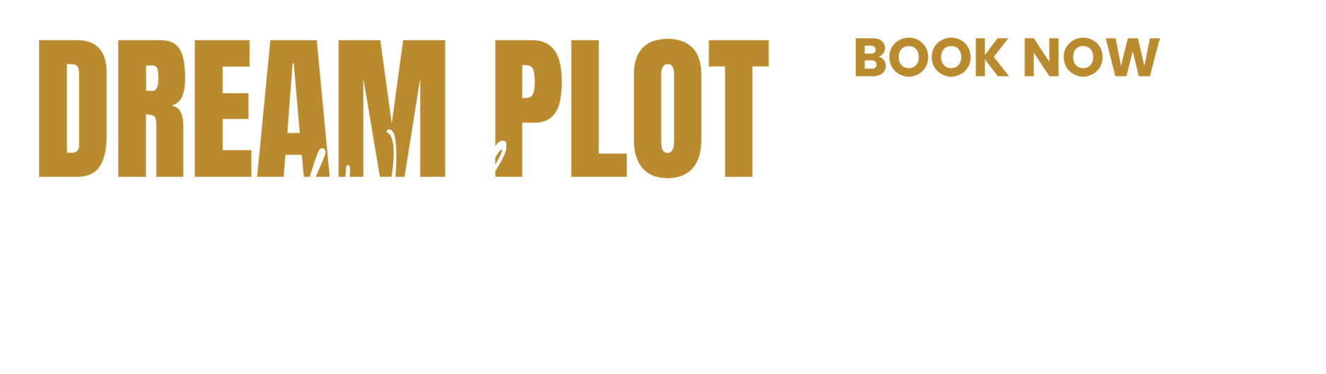 dream-plot-cost-more